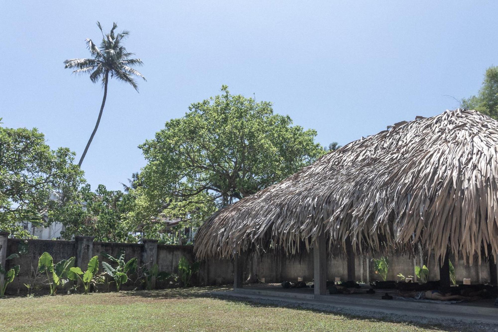 Lotus Surf And Wellness Ahangama Exterior foto